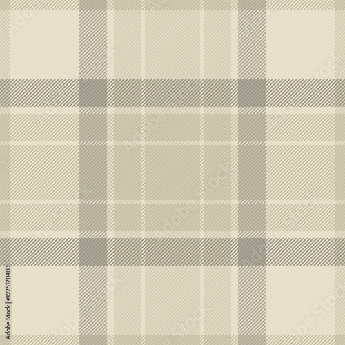 Other seamless tartan fabric, duvet check texture background. Merry plaid pattern textile vector in light and pastel colors.
