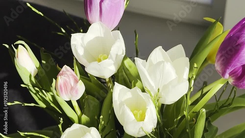 Colorful bouquet of tulips featuring pink, white, and yellow flowers arranged artistically in a vase, illuminated by natural sunlight in a bright indoor setting