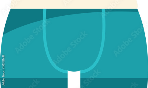 Stylish teal mens boxer briefs featuring a clean white waistband on plain background