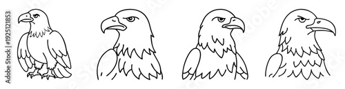 Four fierce eagle heads with differing perspectives in black and white line art