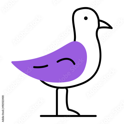 seagulls on the beach