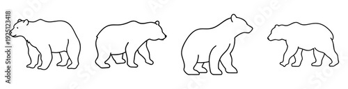 Four outline drawings of bears in varying poses against a white background