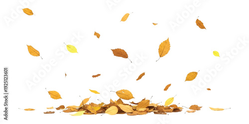 A collection of brown and yellow autumn leaves falling onto a white background, creating a seasonal design element