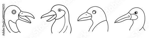 Four simple line drawings of bird heads in different poses and profiles