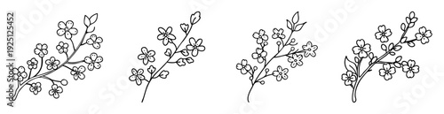 Four blossoming spring flower branch illustrations with delicate leaves in simple outlines