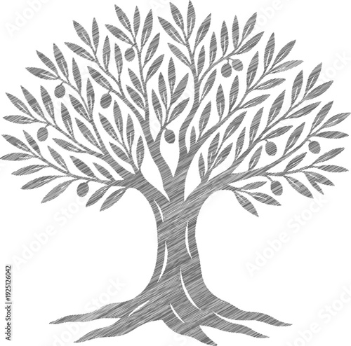 Rustic Hand-Drawn Olive Tree Sketch for Organic Designs