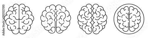Illustrations depicting stylized human brains with varying degrees of complexity and detail