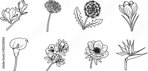 Collection of twenty different simple outline botanical leaf icons representing tropical foliage maple oak olive and various natural elements