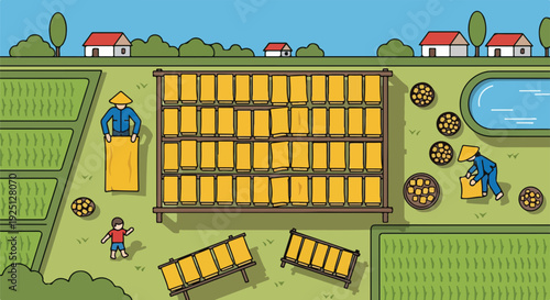 Traditional Tofu Production: Farmers drying tofu in the sun on racks in a rural village setting