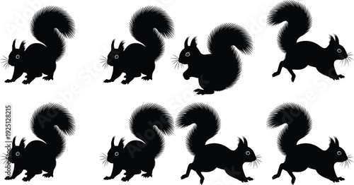 Black squirrel silhouettes vector illustration, animal poses, wildlife design, bushy tail artwork, forest creature clipart, nature graphic, rodent art