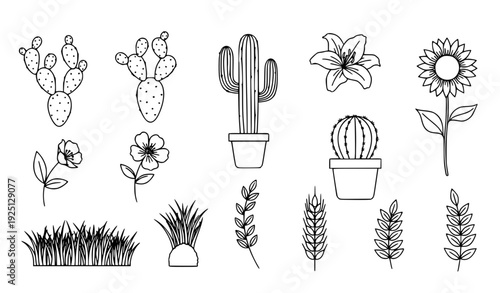 A set of minimalist vector illustrations featuring various desert plants and flowers in a simple line art style