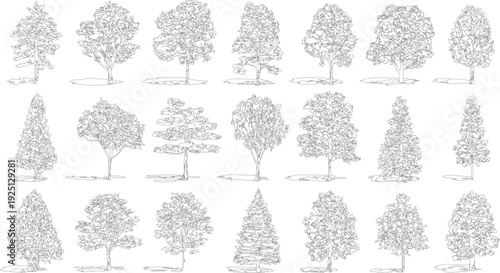 Collection of diverse deciduous and coniferous trees with detailed foliage and shadows in black and white outline style