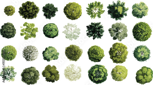 Collection of diverse green trees viewed from above in a down perspective foliage leaves