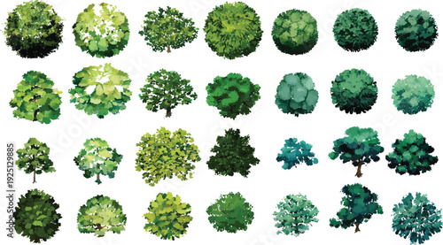 Collection of diverse green trees viewed from above and side profiles with varied foliage shapes and shades