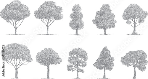 Ten diverse grey stippled trees with varied shapes and sizes on a white background nature forest woodland