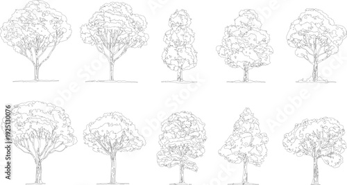 Ten diverse black and white line trees with varied canopy shapes and trunk structures set against a white background