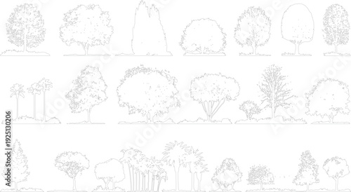 Collection of black and white line of various trees and palm trees on a white background palms plant