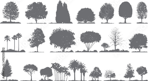 Collection of diverse grey tree silhouettes on white background nature plant forest