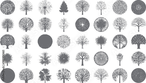 Collection of diverse grey tree silhouettes in various styles and shapes. Diverse tree forms shown in a grid layout. Stylized botanical