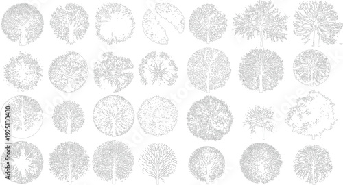 Collection of black and white tree view outlines with varied foliage and branch structures