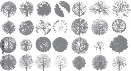 Collection of grey circular tree view silhouettes with detailed branches and foliage patterns trees aerial