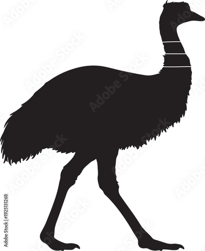 Emu in silhouette on white background.