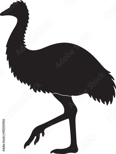  Emu in silhouette on white background.