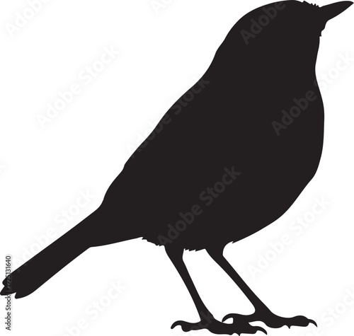 European Robin beak up in silhouette on white background.