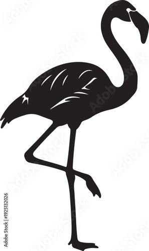 Greater Flamingo in silhouette on white background.