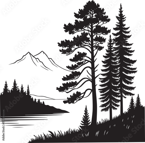 Tall Pine Trees with Distant Mountain Peaks Lake Silhouette