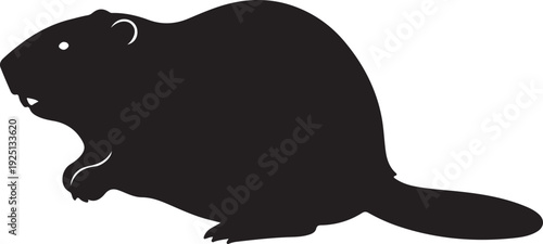 North American Beaver in silhouette on white background.