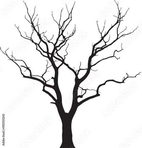 Silhouette tree Branch on white background.