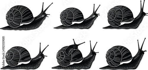 Snail silhouettes set, black vector garden gastropod icons, mollusk shell collection, slow moving animal wildlife elements, isolated nature slimy slugs,