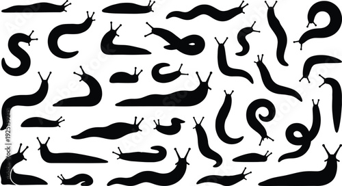 Slug silhouette set, black garden gastropod icons, mollusk outlines, crawling land slugs, nature wildlife vector illustration, slime trail insects, pests, fauna.