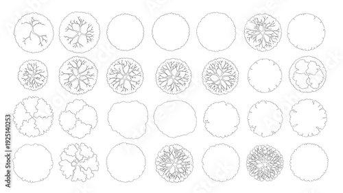 Landscape Design Deciduous Tree Canopy Plan View Outline Vector Bundle