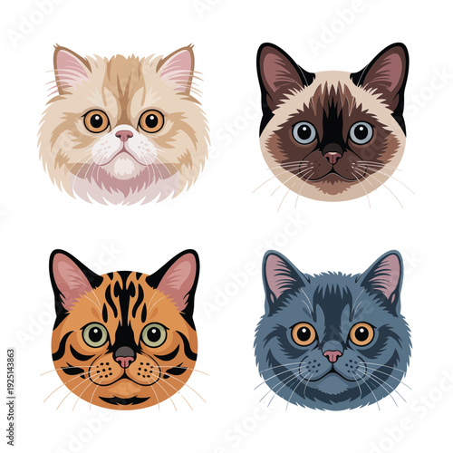 Mixed cat breed portrait set, siamese and bengal with fluffy longhair, shelter fundraiser poster, adoption counseling session graphics package