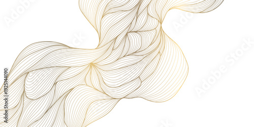 Elegant gold line floral pattern on white background, abstract waves, flowing curves, botanical elements. Luxury vector illustration, Japanese, Chinese ornament, geometric deco style, premium