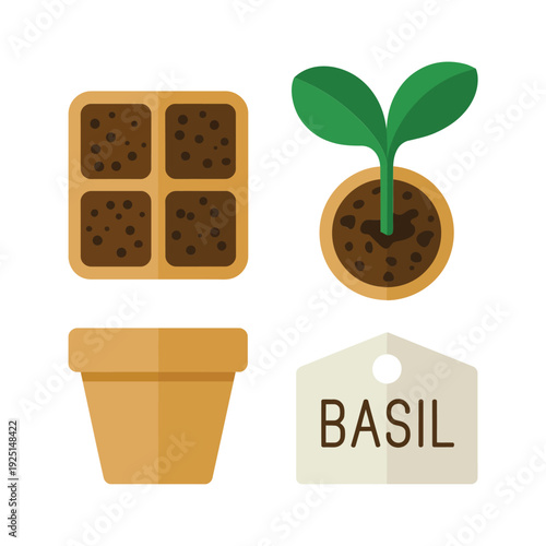 Basil herb starter kit, seed cells and pot, kitchen garden event, culinary herb session, windowsill growing tips vector illustration