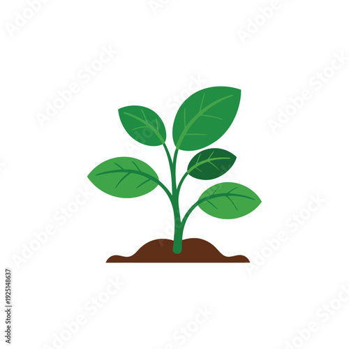 Healthy green seedling sprout, eco education day artwork, tree planting ceremony poster, youth stewardship session, native species care checklist