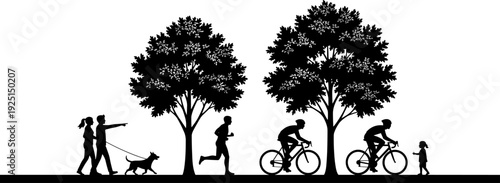 Silhouette, park, outdoor, activities, people, cycling, running, walking, dog, trees, nature, recreation, lifestyle, healthy, fitness, active, city park, bike rider, jogging man, dog walking,