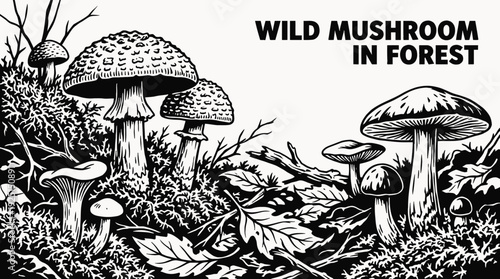 wild mushroom growing on a forest floor surrounded by moss and fallen leaves representing natural ecosystem biodiversity and organic woodland life