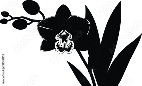  described features a black and white graphic representation of an orchid flower along with its leaves. The use of solid black for both the flower and leaves creates a striking contrast against the 