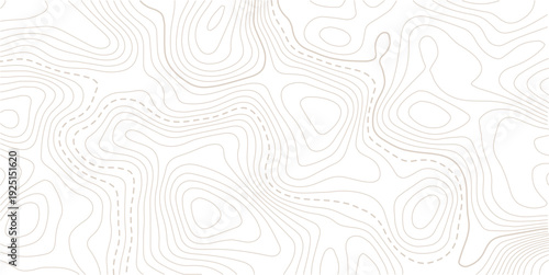 Modern relief white and gray line location discovery. vector topo map design paper background.abstract wavy background. topographic contour background. Topography background. Vector banner. Topo.