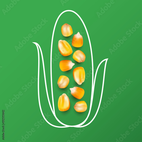 Minimalist corn cob illustration with realistic golden seeds on green background. Vector 3d concept art.