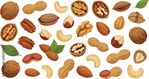 Assortment of assorted nuts and green leaves on white background walnut cashew peanut