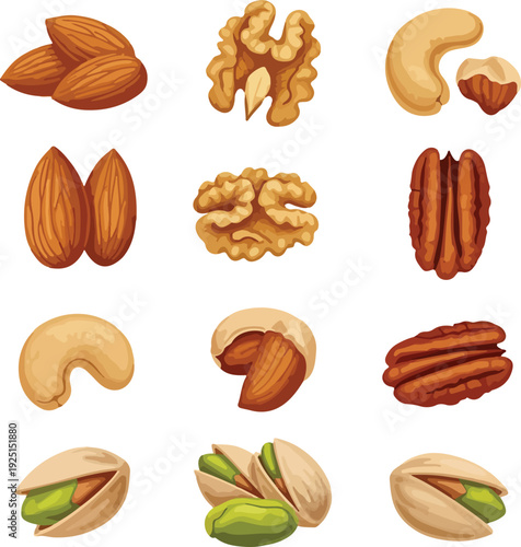 Assortment of assorted nuts including almonds walnuts cashews pecans and pistachios