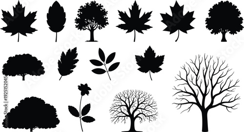 Tree and leaf silhouettes set, botanical illustration, foliage diversity, nature elements, plant species, vector art, black silhouette, isolated