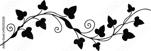 described features a stylized vine rendered in black and white, characterized by its elegant horizontal extension and decorative swirls and curls. This design creates a sense of movement and fluidity,