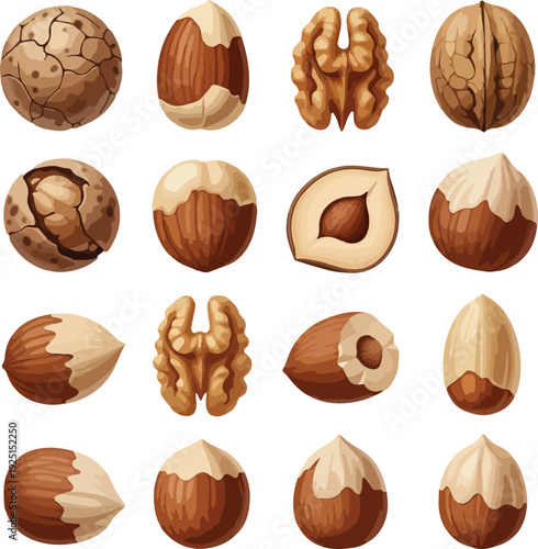 Assortment of whole and halved nuts including walnuts almonds and hazelnuts nuts assortment whole halved walnut almond hazelnut food ingredient healthy snack organic natural brown beige white