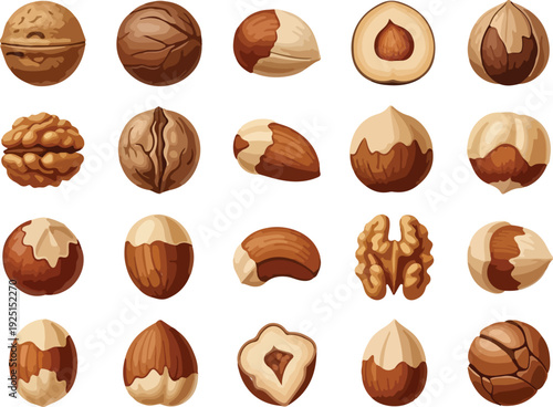 Assortment of whole and shelled nuts including walnuts almonds and hazelnuts